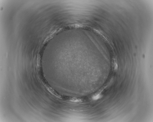 X0000087530760200705112031