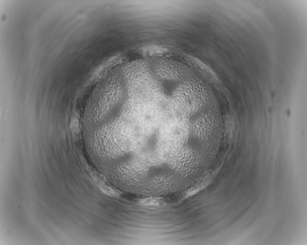 X0000087530761200705112031