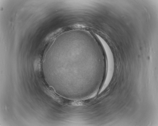 X0000087530762200705112031