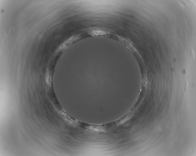 X0000087530763200705112031