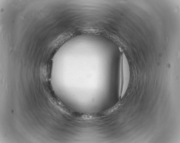 X0000087530764200705112031