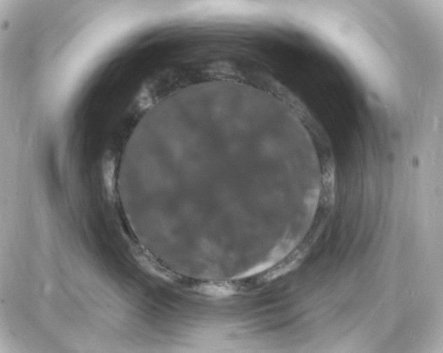 X0000087530765200705112031