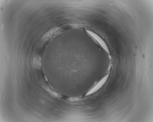 X0000087530766200705112031