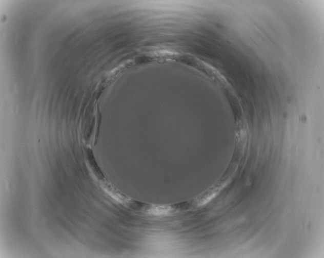 X0000087530767200705112031