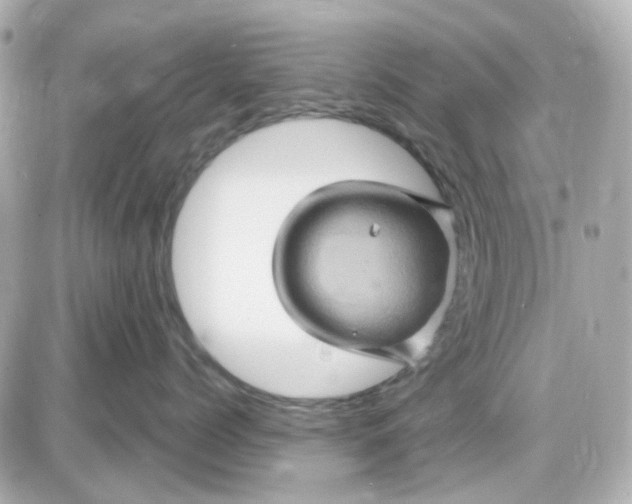 X0000087530768200705112031