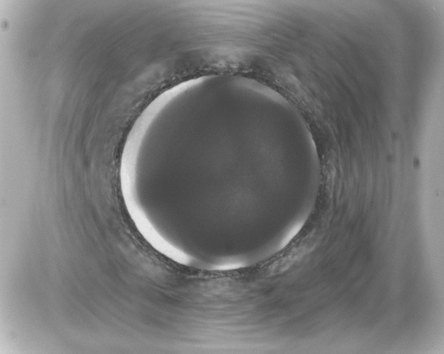 X0000087530769200705112030