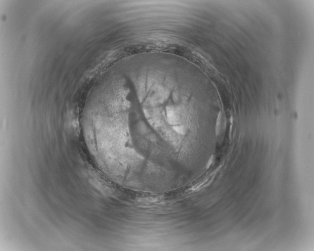 X0000087530771200705112030