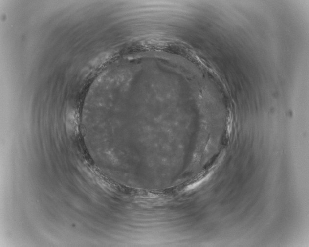 X0000087530772200705112030