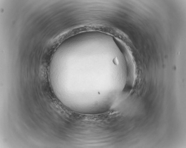 X0000087530773200705112030