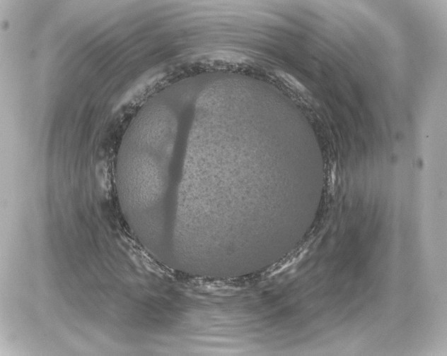 X0000087530774200705112030