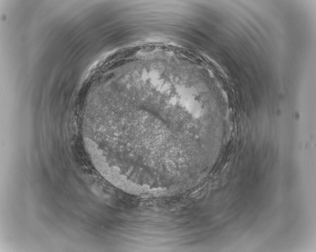 X0000087530776200705112030