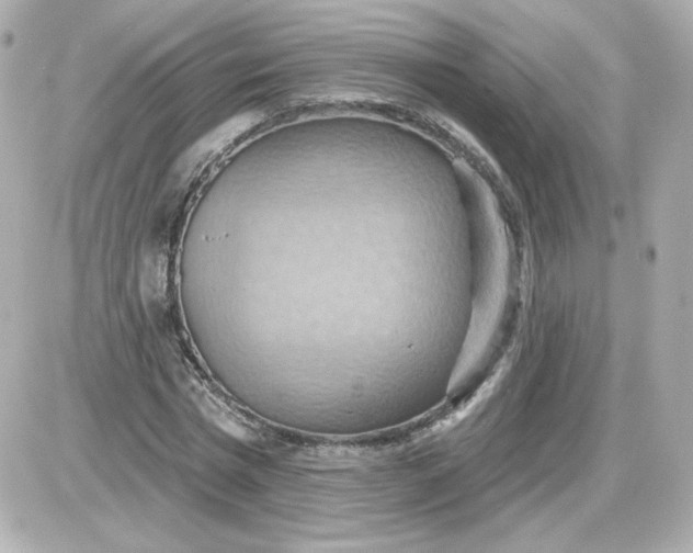 X0000087530777200705112030