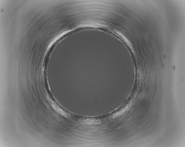 X0000087530779200705112030