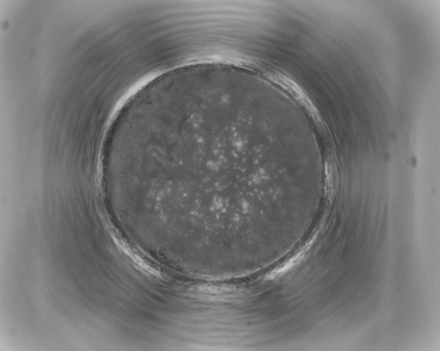 X0000087530780200705112030