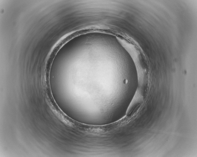 X0000087530784200705112030