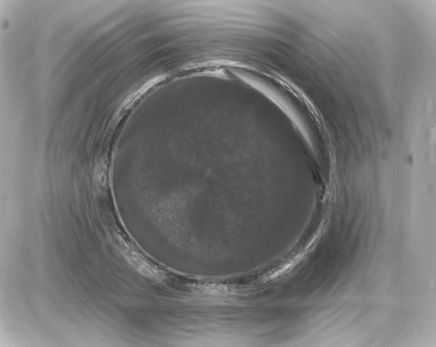 X0000087530785200705112030