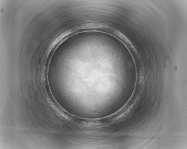 X0000087530786200705112030