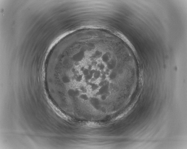 X0000087530787200705112030