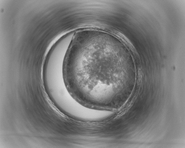 X0000087530788200705112030