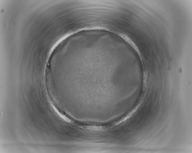 X0000087530789200705112030