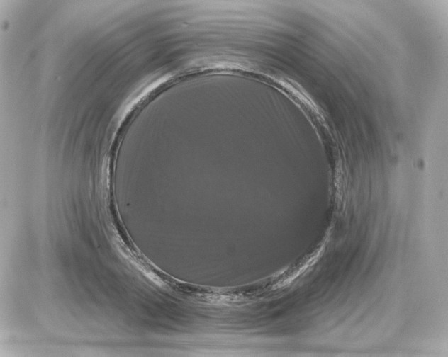 X0000087530790200705112030