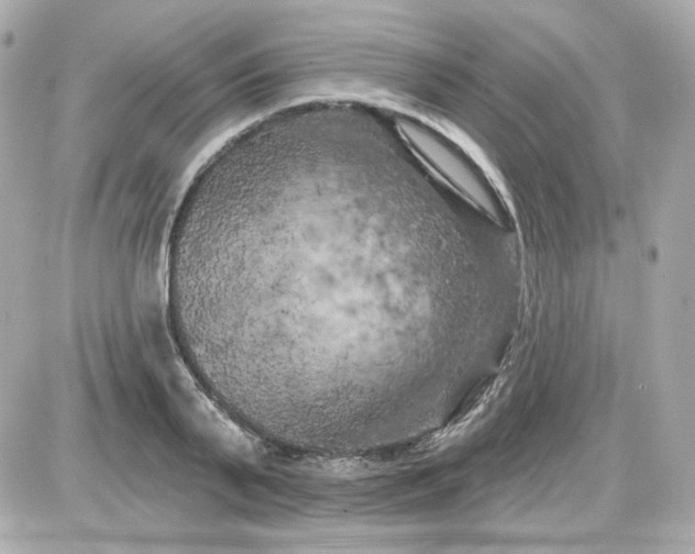 X0000087530791200705112030