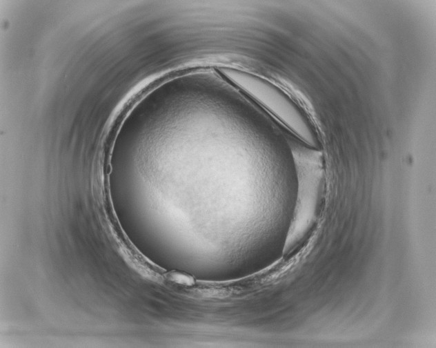 X0000087530792200705112030