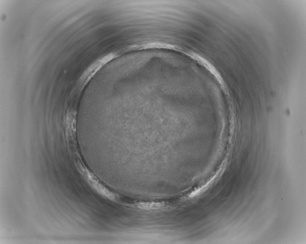 X0000087530793200705112030