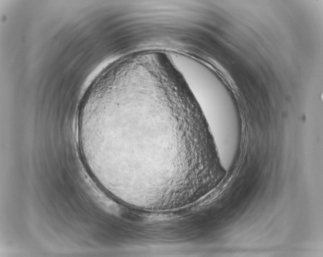 X0000087530796200705112030