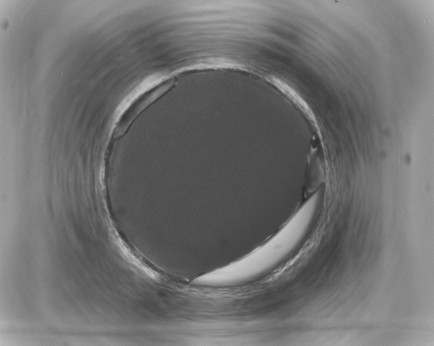 X0000087530797200705112030