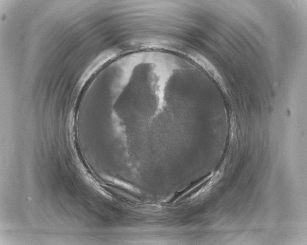 X0000087530798200705112030