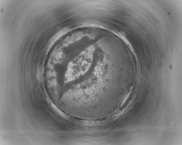 X0000087530799200705112030