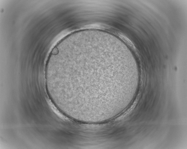 X0000087530800200705112030