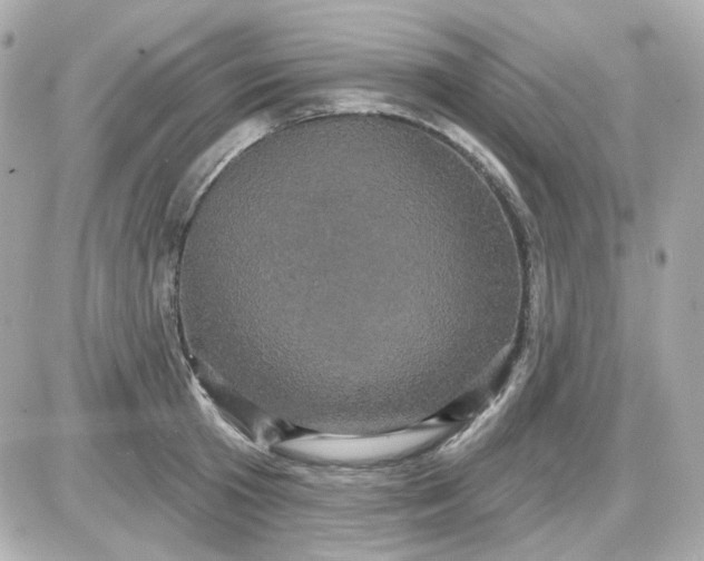 X0000087530801200705112030