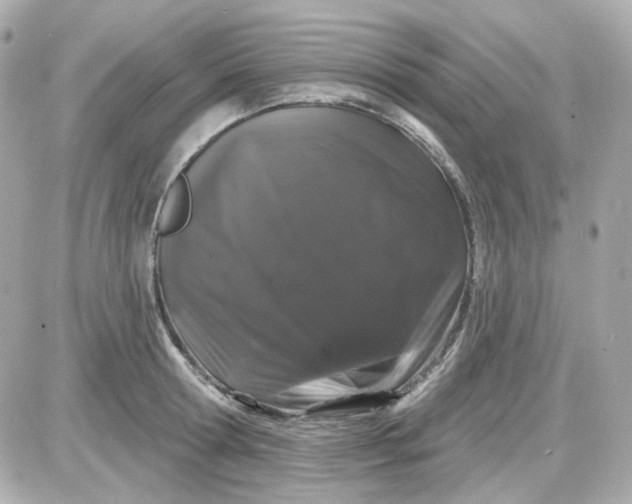 X0000087530802200705112030