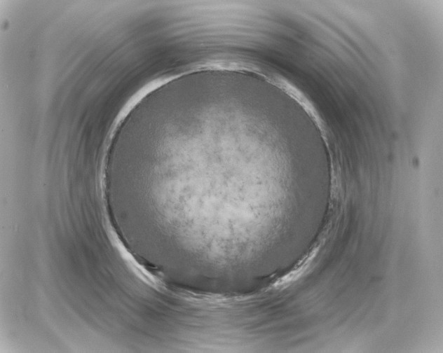 X0000087530803200705112030