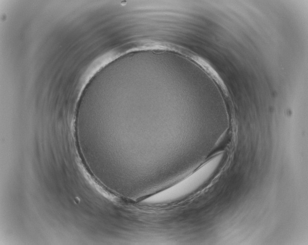 X0000087530805200705112030