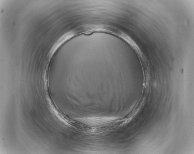 X0000087530806200705112030