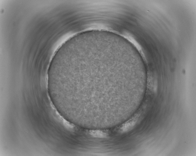 X0000087530807200705112030