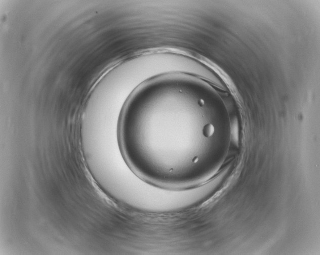 X0000087530809200705112030