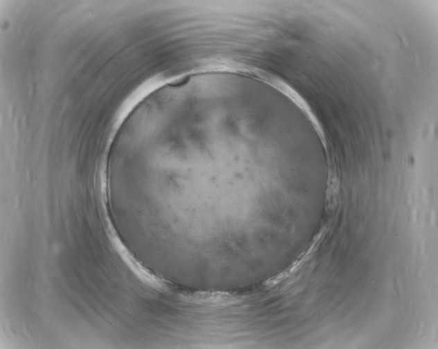 X0000087530811200705112030