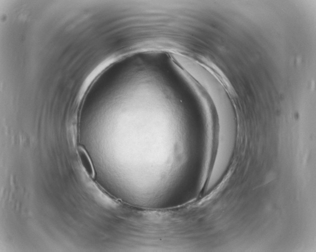 X0000087530812200705112030