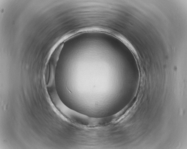 X0000087530813200705112030