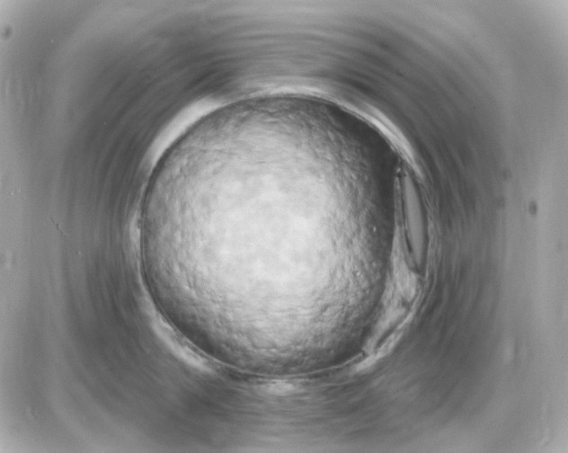 X0000087530814200705112030