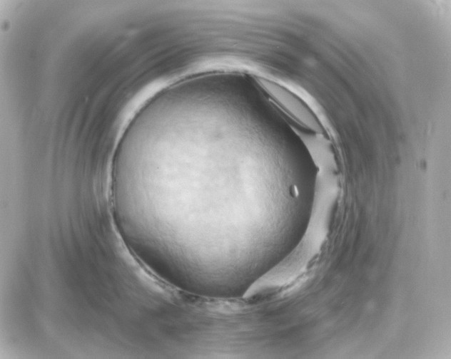 X0000087530815200705112030