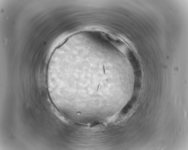 X0000087530816200705112030