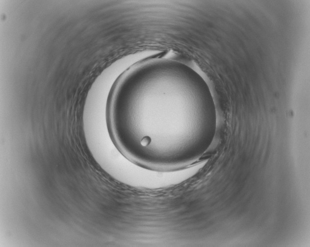 X0000087530818200705112029