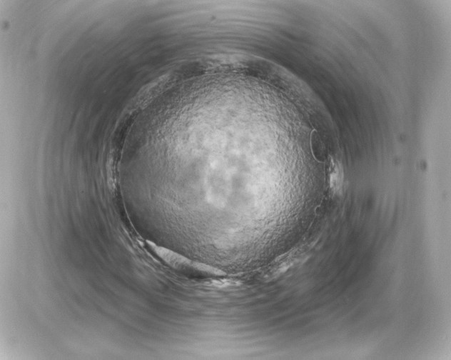 X0000087530819200705112029