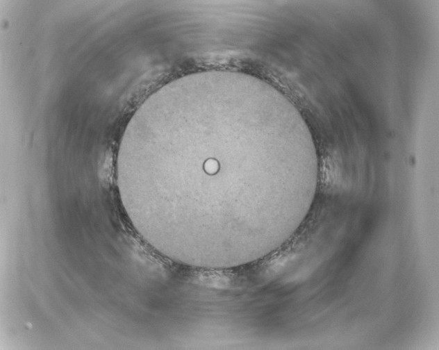 X0000087530820200705112029