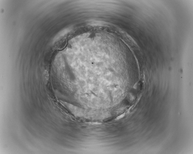 X0000087530821200705112029